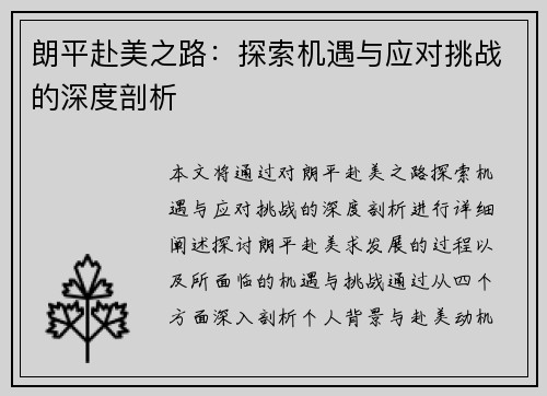 朗平赴美之路：探索机遇与应对挑战的深度剖析
